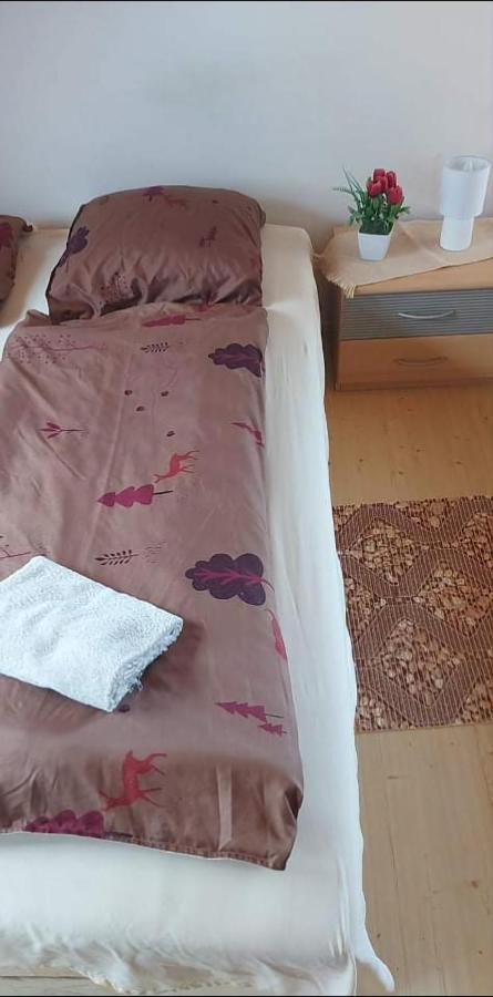 Visszavar-Lak Privat Berlemeny Badacsonytomaj Buitenkant foto