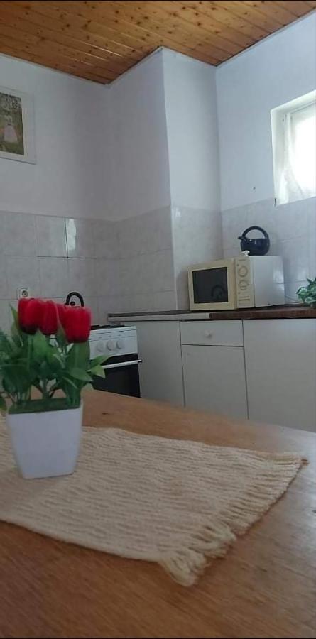 Visszavar-Lak Privat Berlemeny Badacsonytomaj Buitenkant foto